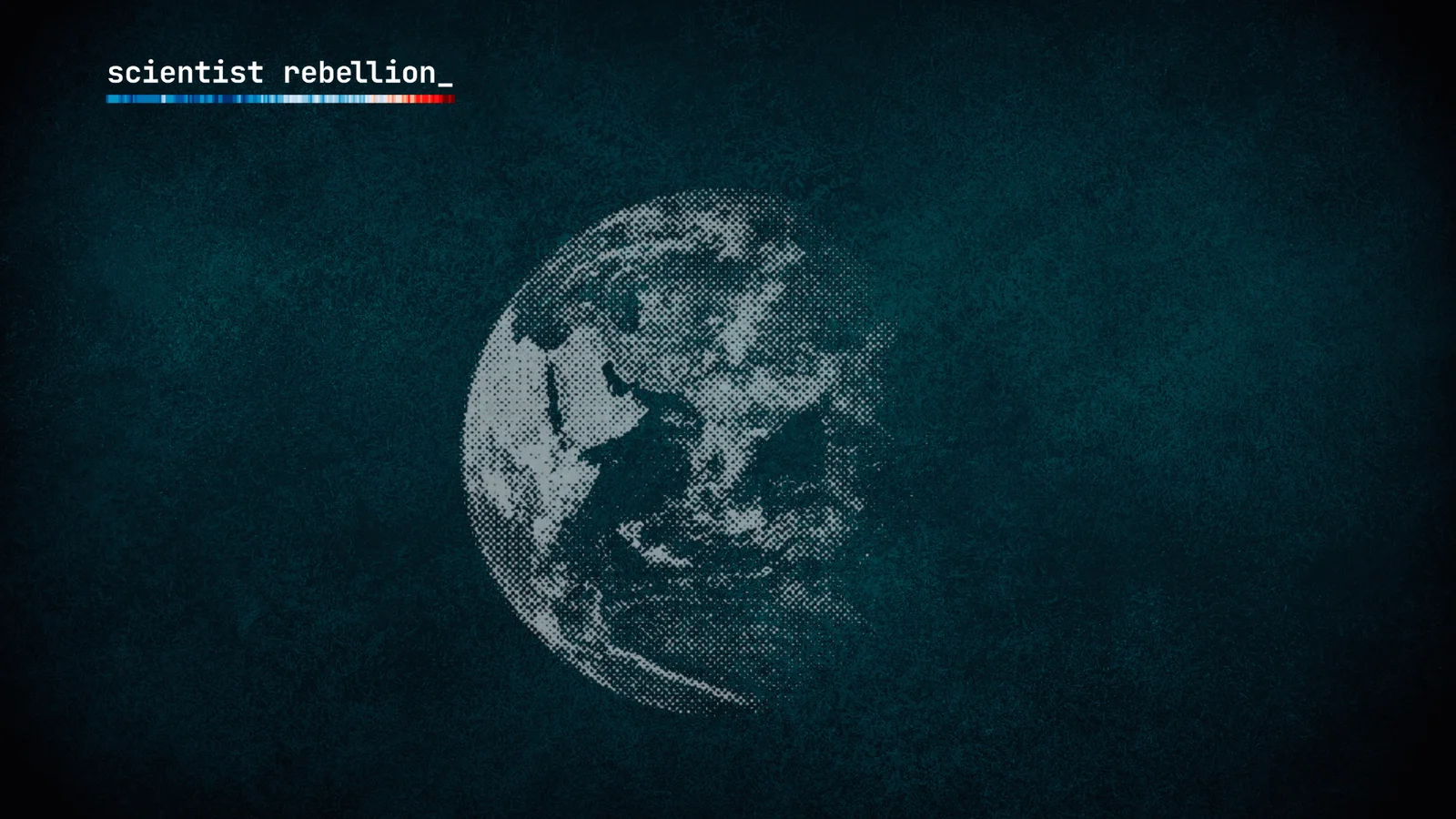 brand elements_zoombg_1